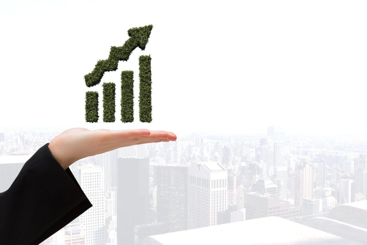 How to Choose the Right SEO Service for Your Business Growth